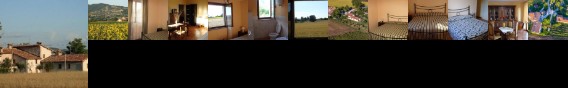 Fontecese Fontecese