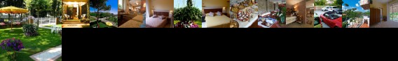 Hotel Versilia Hotel Versilia