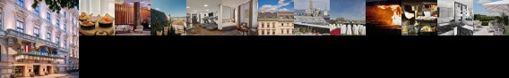 The Ritz-Carlton Vienna The Ritz-Carlton Vienna