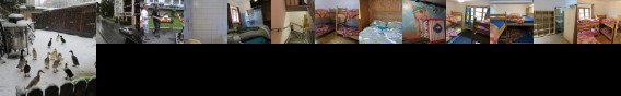 Snowbunnys Backpackers Hostel Snowbunnys Backpackers Hostel