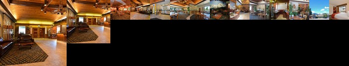 Best Western Plus Tree House