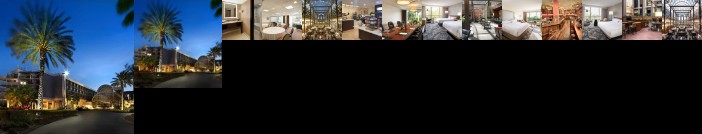 Sheraton Orlando North