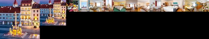 Zentral Hotel Wiener Neustadt