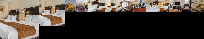 Comfort Inn & Suites Airport Maspeth New York City