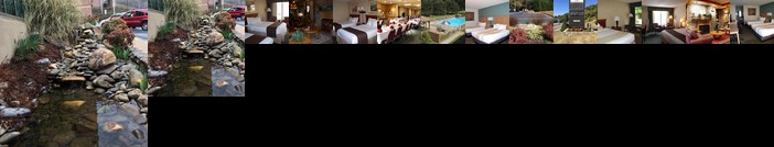 Chestnut Tree Inn Cherokee