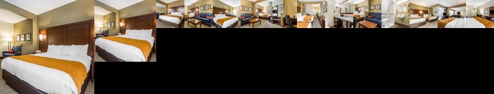 Comfort Suites at the University