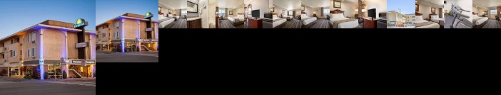 Scottfeild Executive Hotels Eureka