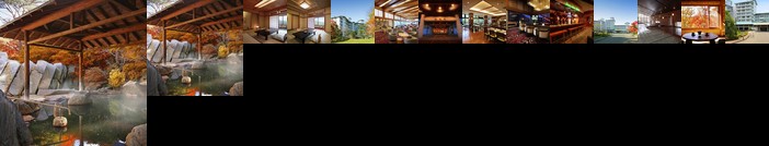 Ryokusuitei Hotel Sendai