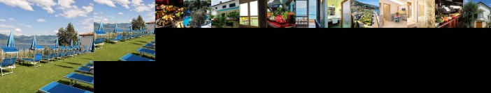 Internazionale Hotel Torri del Benaco