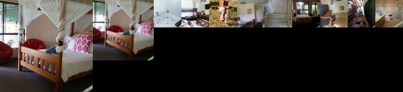 Bearded Dragon Boutique Hotel Logan City