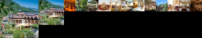 Wellness-Ferien-Seminarhotel Raxalpenhof