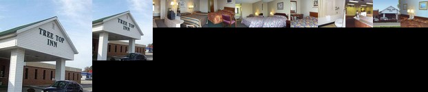 Tree Top Inn Florence