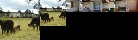 Bumblebrook Farm Motel