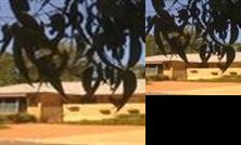 Anzac Park Homestay Canberra