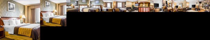 Comfort Inn Brooklyn New York City