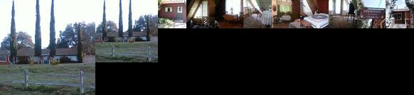 Live Oak Springs Resort