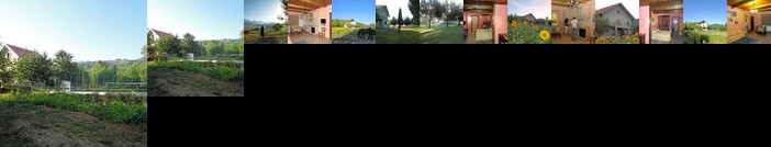 Green House B&B