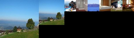 Land Und Panoramagasthof Schöne Aussicht Viktorsberg