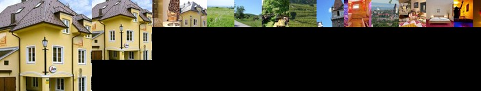 Hotel Perchtoldsdorf