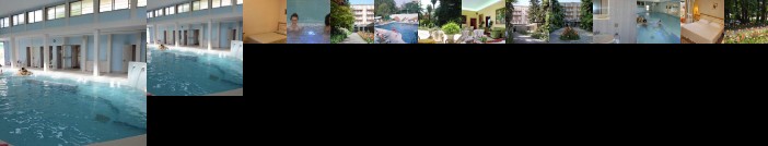 Hotel Villa Piave Abano Terme
