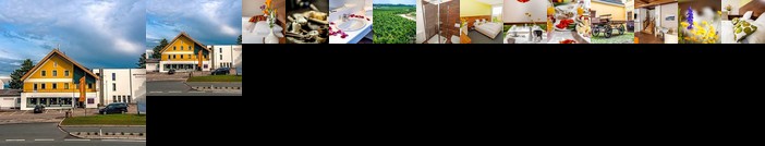 Amethysthotel & Landgasthof Zum Naderer Maissau