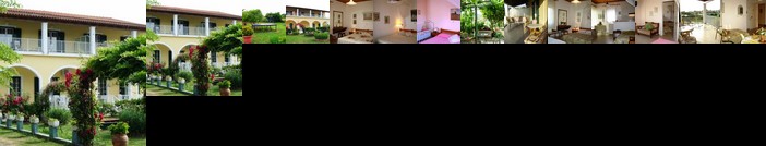 Irene Villas Arillas