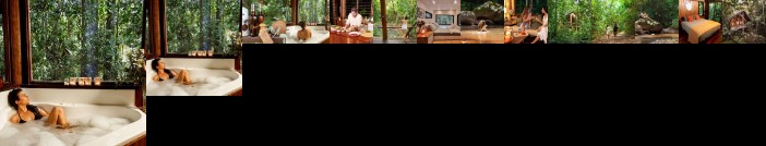 The Canopy Rainforest Treehouses and Wildlife Sanctuary