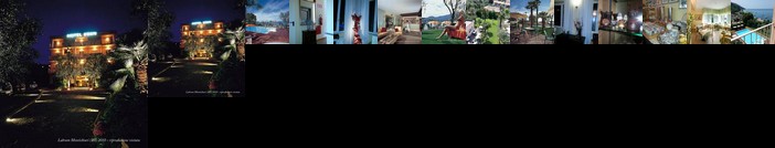 Hotel Eden Torri del Benaco