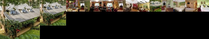 Curtis Falls Mountain Spa Retreat Mount Tamborine