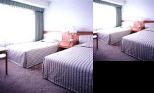 Hotel Dai ichi Sakai