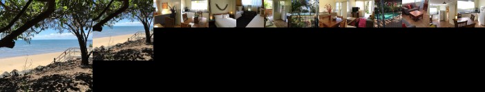 Coconut Palms on the Bay