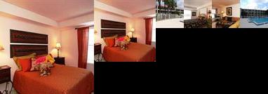 Palm Square at Belle Isle