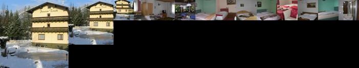 Pension Triebl