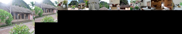 Lang Viet Co