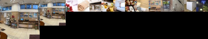 Toyoko Inn Sakaihigashi Eki