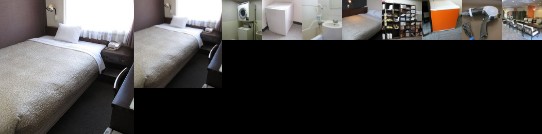 Miyuki Station Hotel Toyohashi