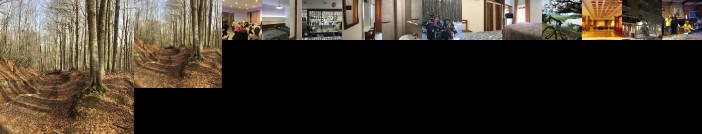 Hotel Tasso