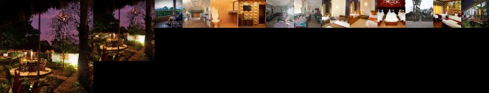 Chitwan Forest Resort