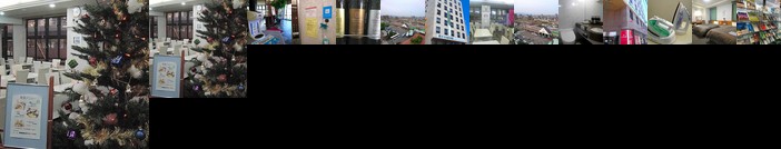 Terminal Hotel Matsuyama