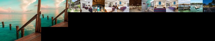 Splash Inn Dive Resort