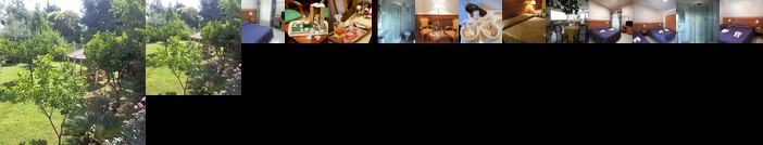 Capy's Hotel