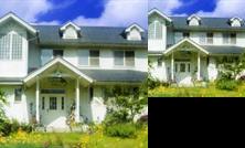 Green Village Patio House