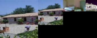 Societa Agricola MG Florplant