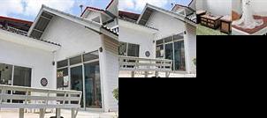 White House Homestay