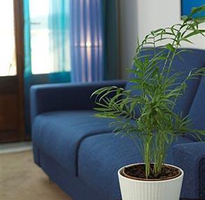 Hotel Esplendido