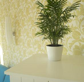 Hotel Esplendido