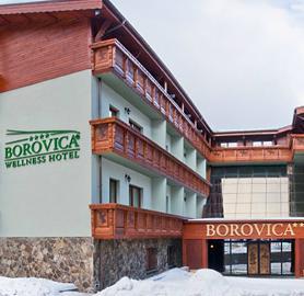 Wellness Hotel Borovica - dream vacation