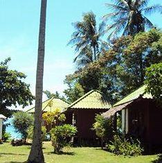 Zoe Frenchy Resort