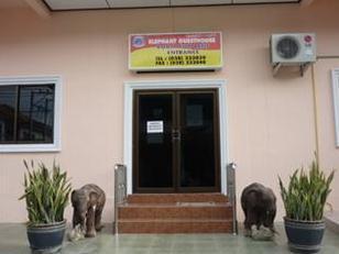 Elephant Guesthouse Pattaya