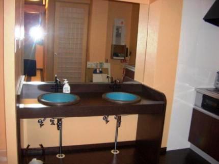 スパークリング ドルフィンズイン 京都